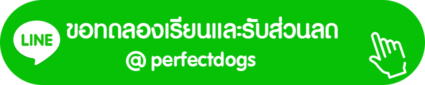 ทดลองเรียนอาบน้ำตัดขนหมา