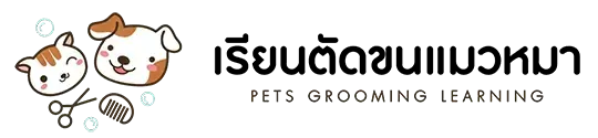 เรียนตัดขนแมวหมา