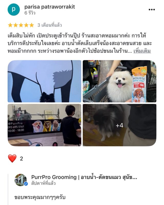 review