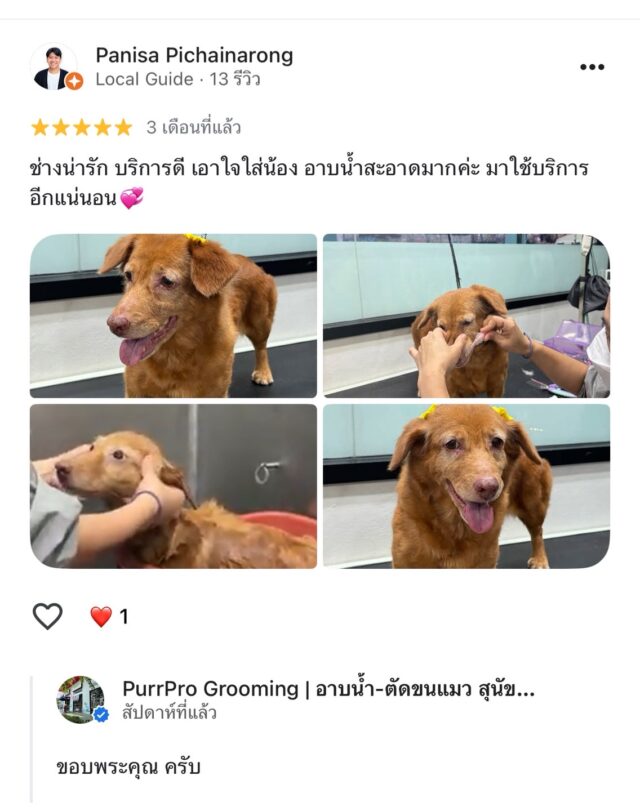 review
