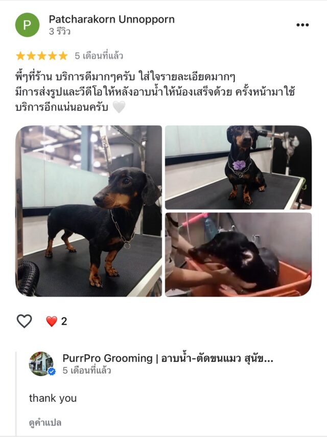 review