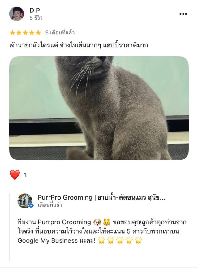 review