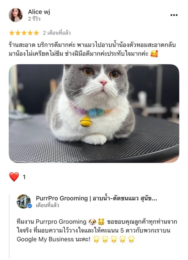 review
