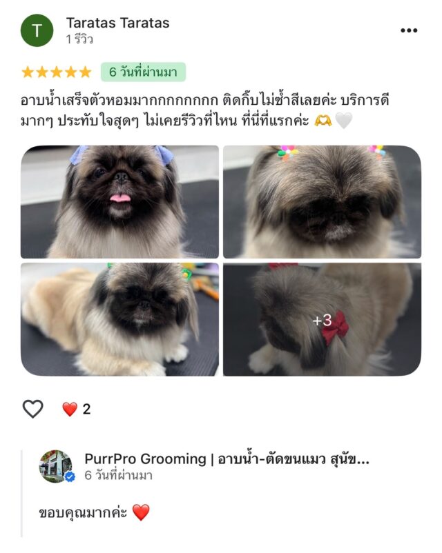review