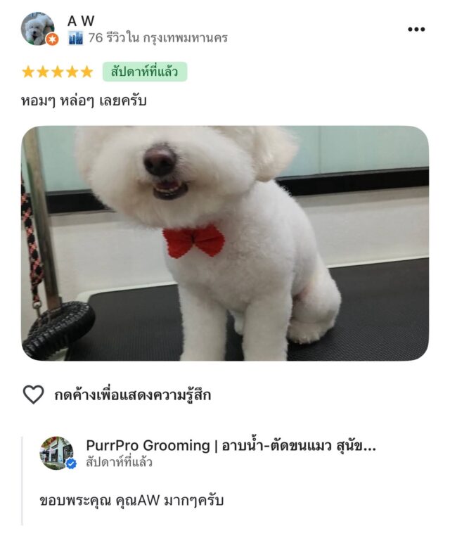 review