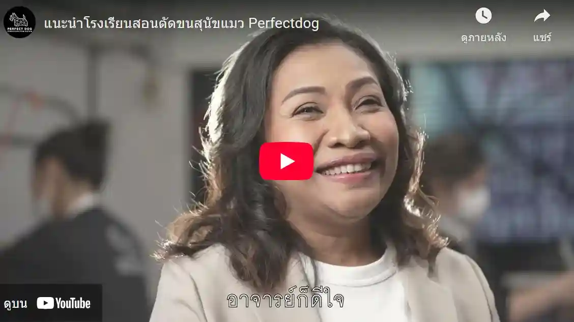 รีวิวการเรียนอาบน้ำตัดขน