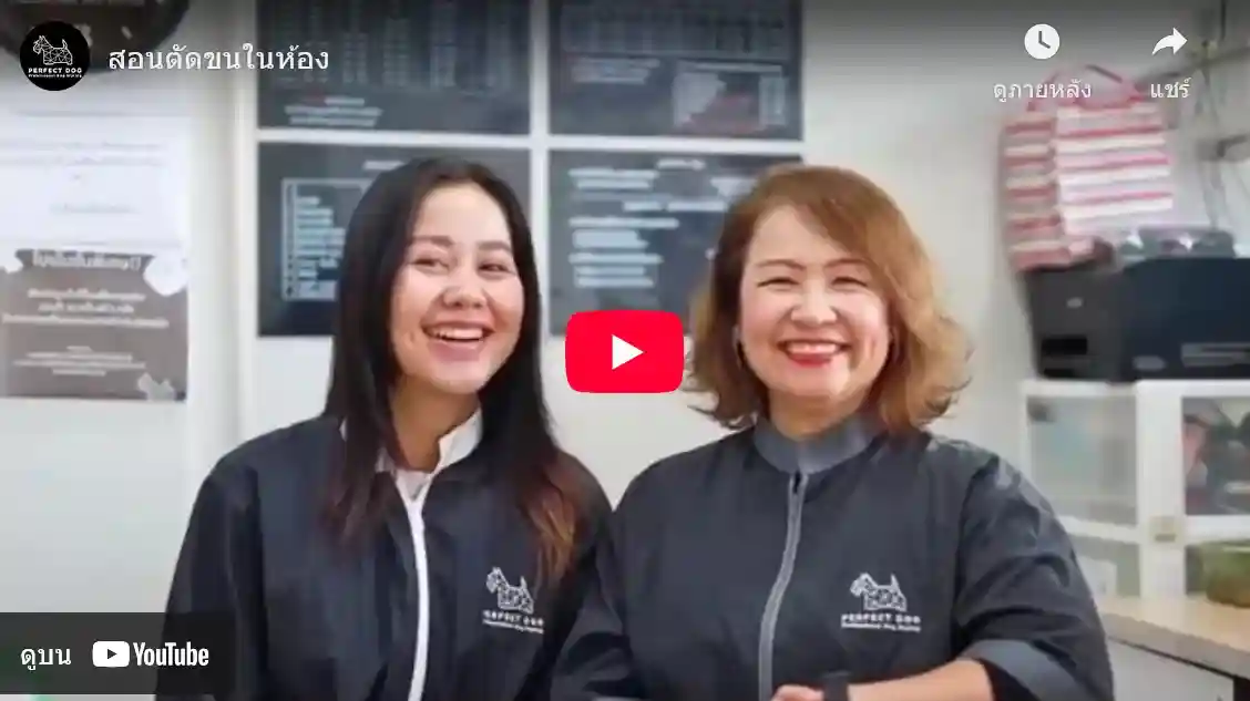 บรรยากาศการเรียนอาบน้ำตัดขน