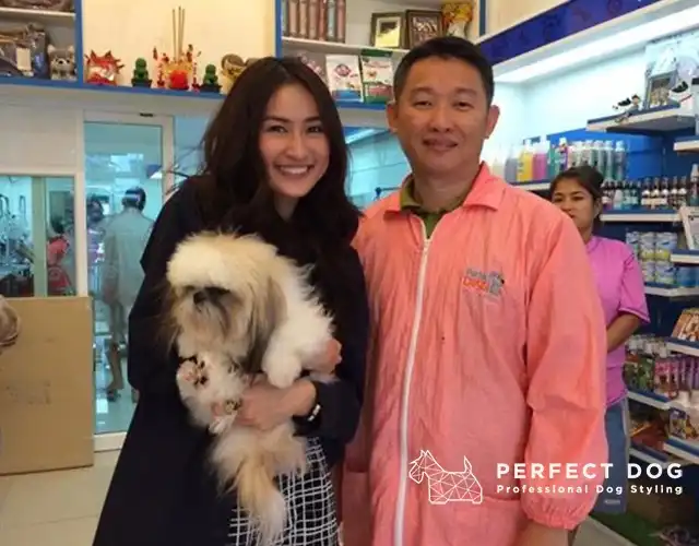 เรียนตัดขนแมวหมา