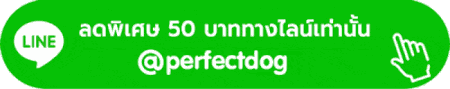 ลดพิเศษ 50 บาท perfectdog