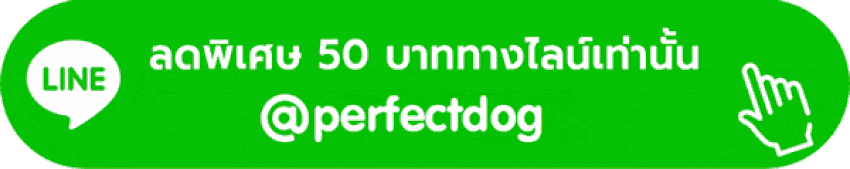 ลดพิเศษ 50 บาท perfectdog